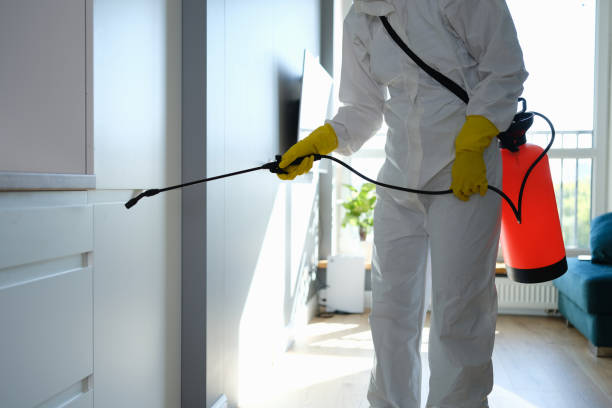 Best Residential Mold Removal  in Bowling Green, KY